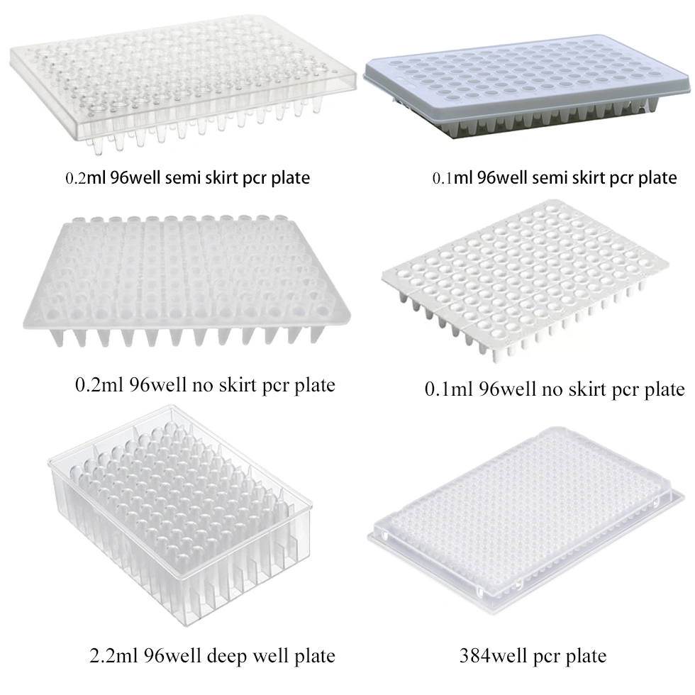 Lab Supplies Alphanumeric 384 Well PCR Plate Microplate Full Skirted White PCR Plates